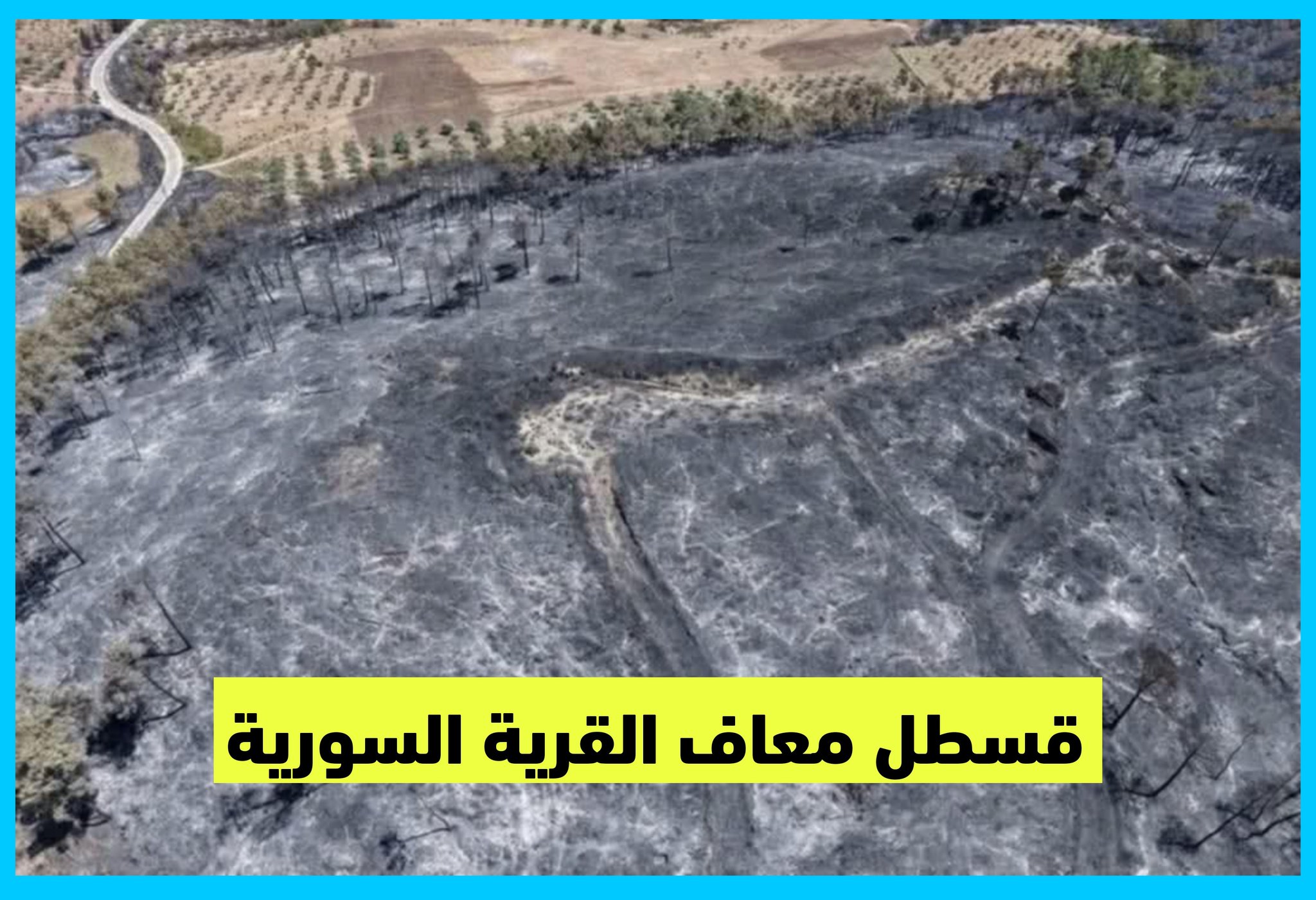 قسطل معاف في وضع مأساوي بعد أن اجتاحتها الحرائق